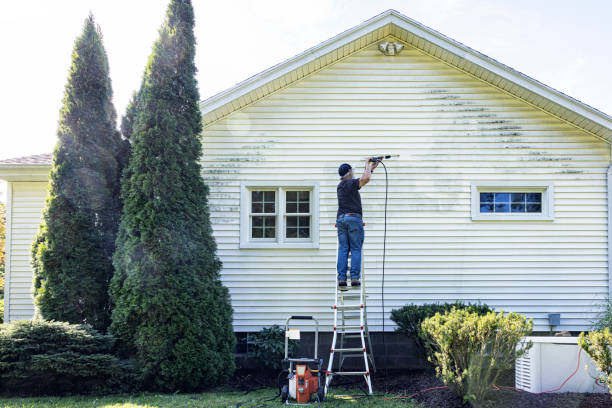 Best Dumpster Area Cleaning  in East Bronson, FL